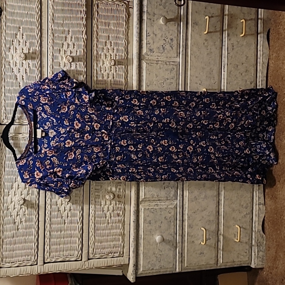 Knox Rose blue berry floral dress